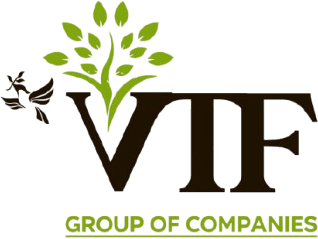 VIF
